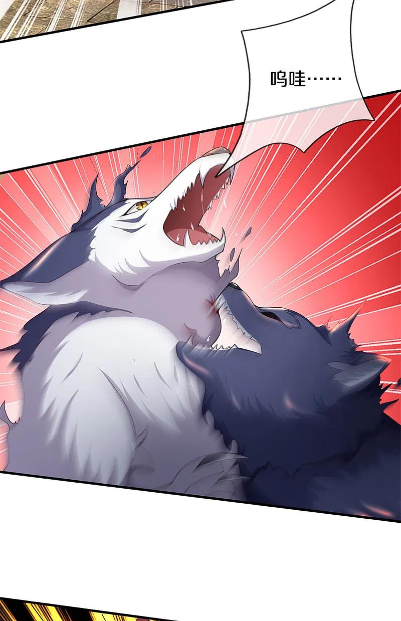 第217话徒有虚名？沈异登场-仙尊奶爸当赘婿-传奇漫业（第4张）