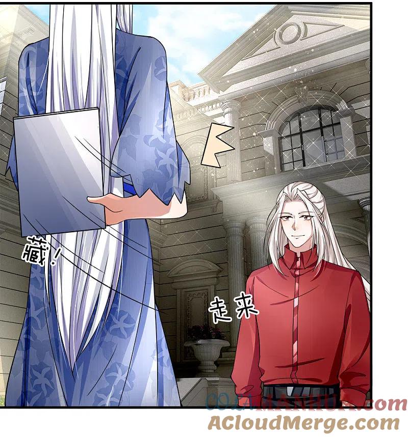 第36话区区赘婿，有何好怕？-仙尊奶爸当赘婿-传奇漫业（第6张）