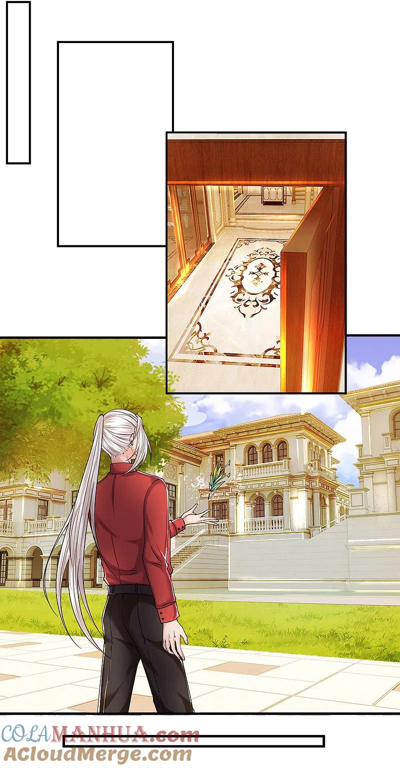 第60话随手一炼，上等灵丹-仙尊奶爸当赘婿-传奇漫业（第3张）