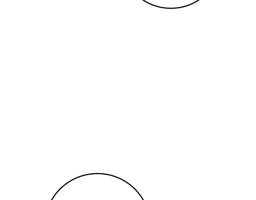 263.jpg