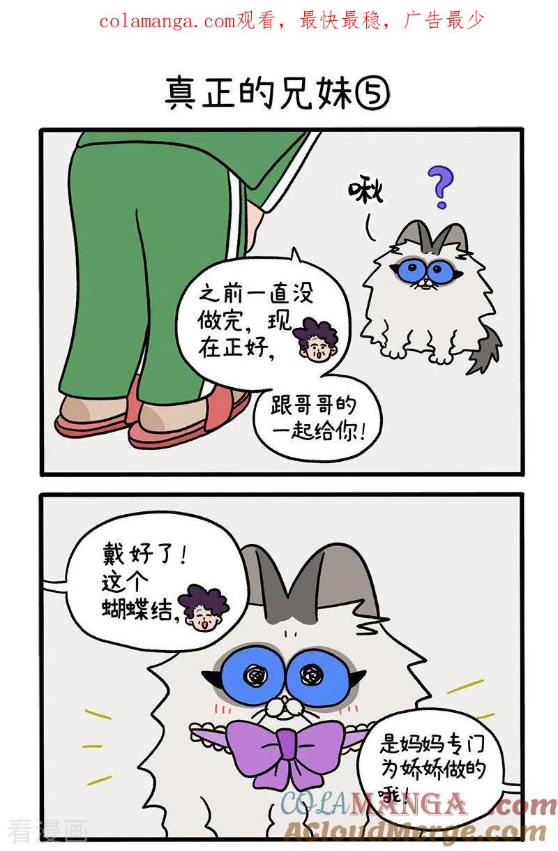 第49话2真正的兄妹-阿满和麦茶-新漫画 日胖大海寺（第1张）