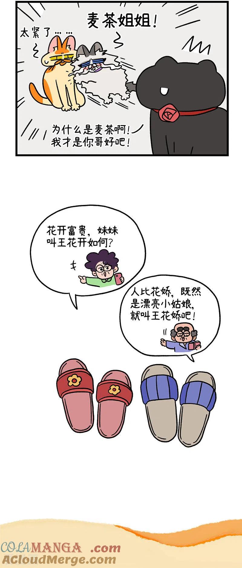 第49话2真正的兄妹-阿满和麦茶-新漫画 日胖大海寺（第4张）