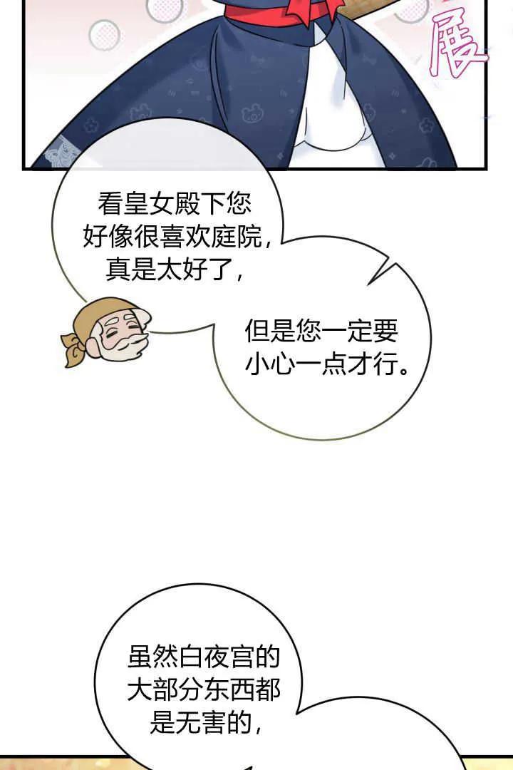62.jpg