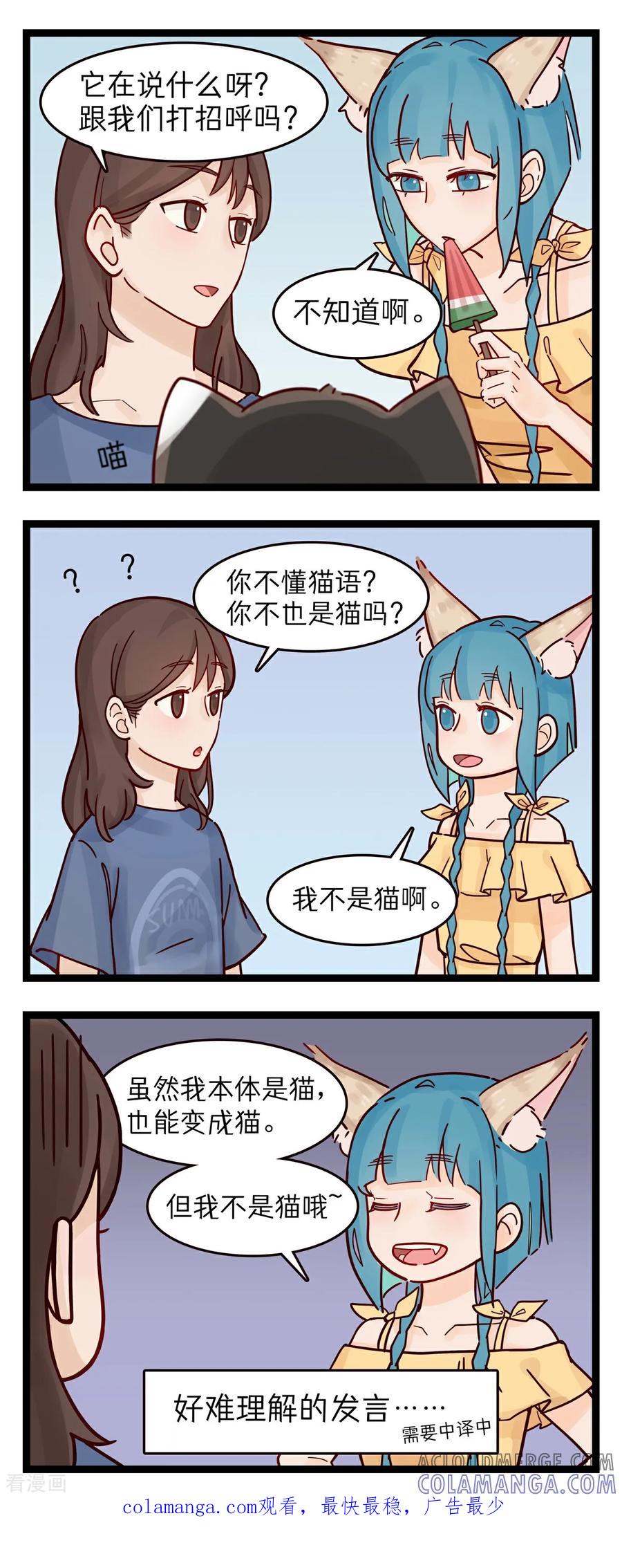 第47话喵星语-灵裔：我的室友不正常-泊川、灵桔子（第2张）