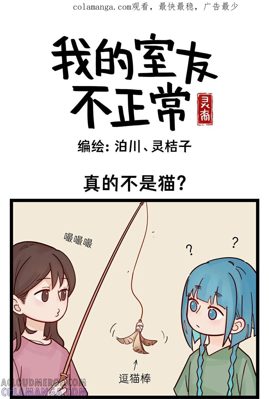 第51话真的不是猫？-灵裔：我的室友不正常-泊川、灵桔子（第1张）