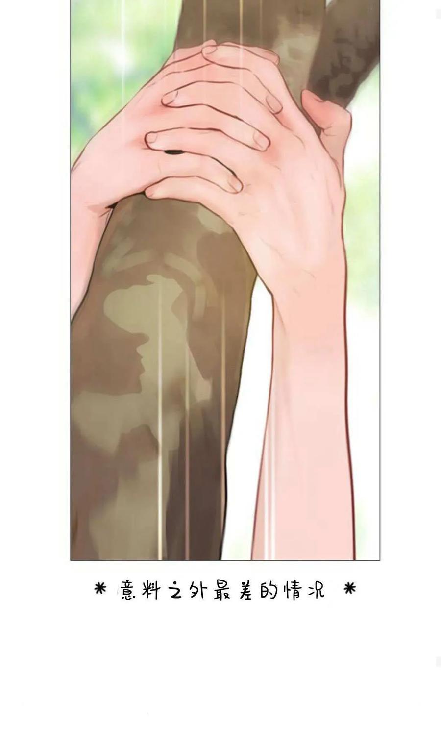 96.jpg