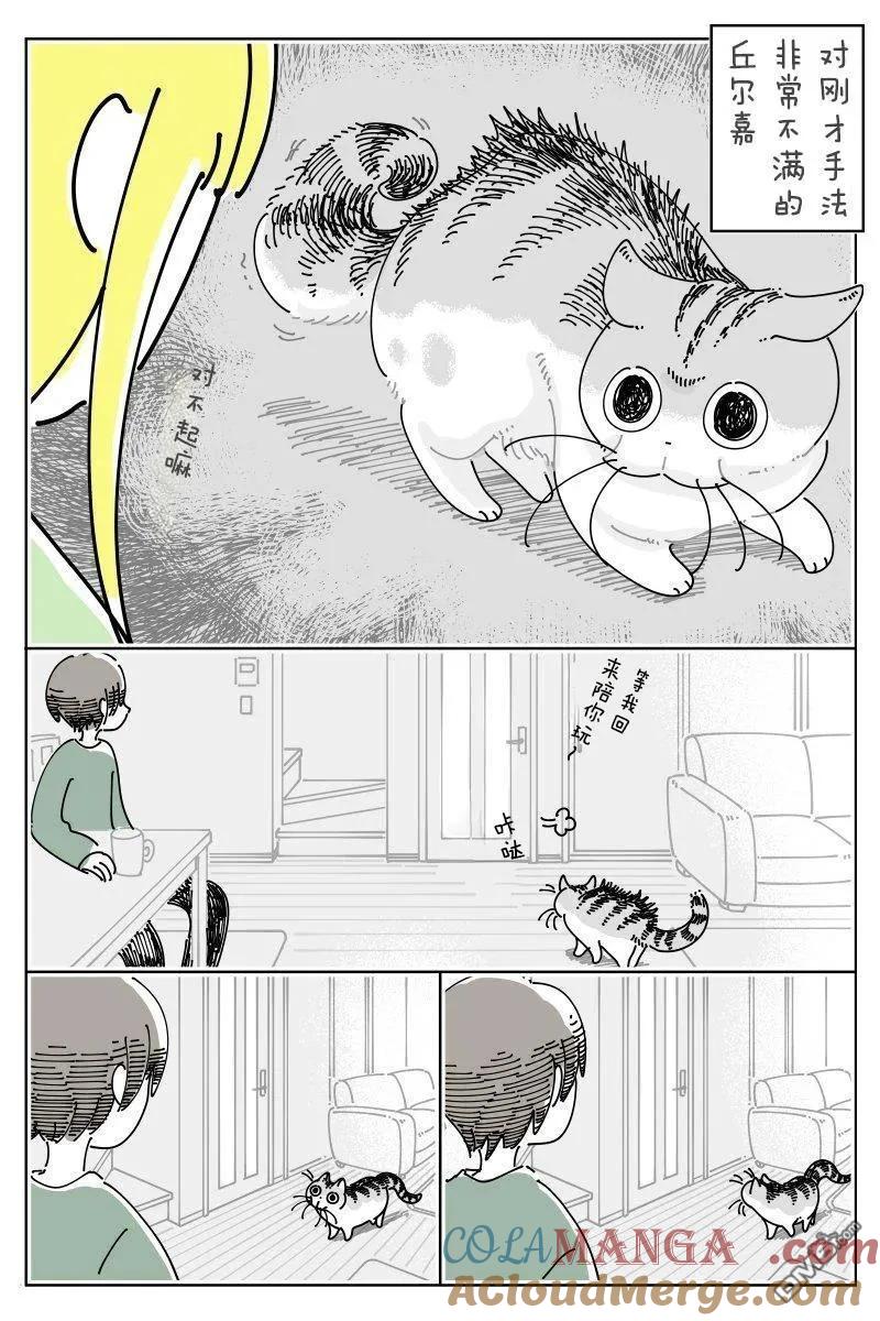 第253话-关于养猫我一直是新手-キュルZ（第1张）