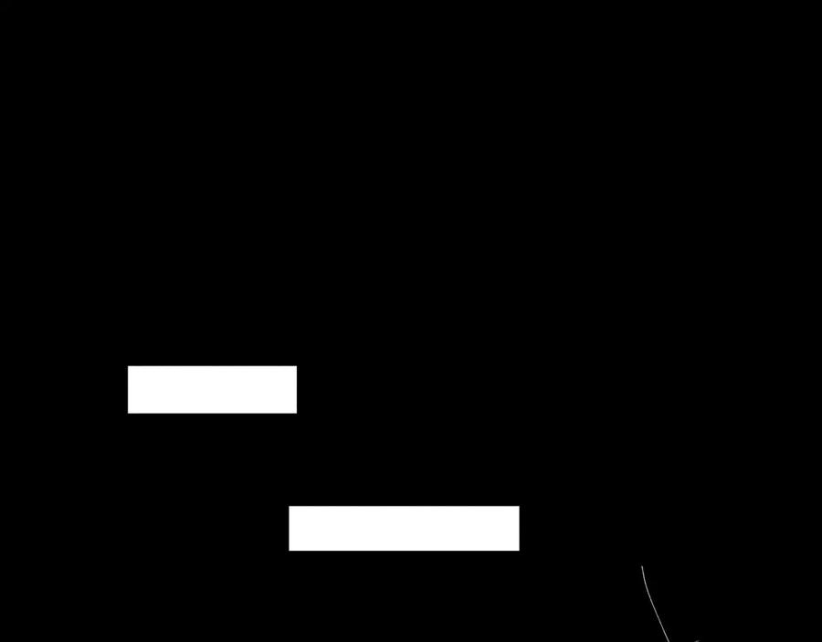 96.jpg