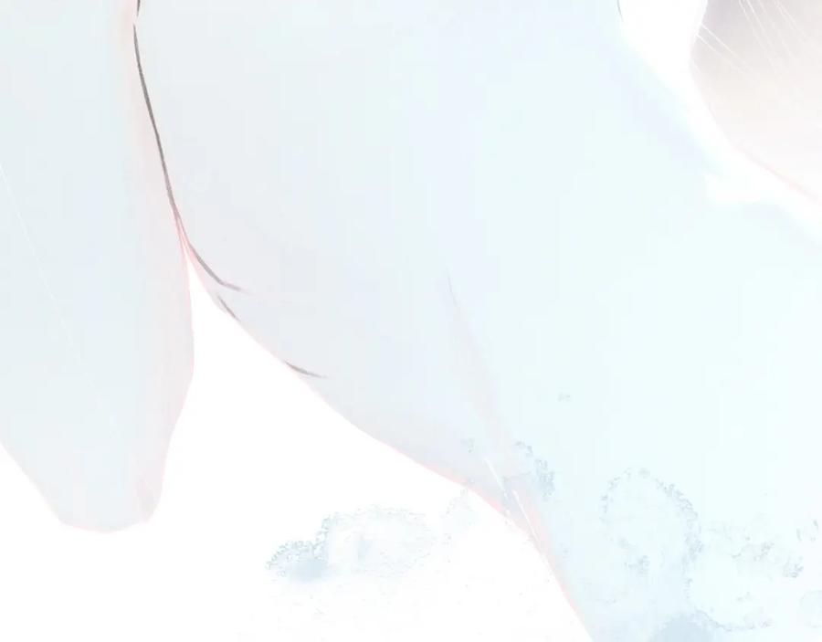 99.jpg