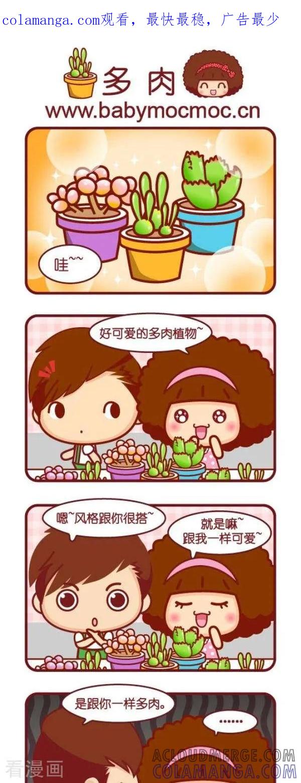 第74话多肉-摩丝摩丝-Mocmoc@智汇互动（第1张）