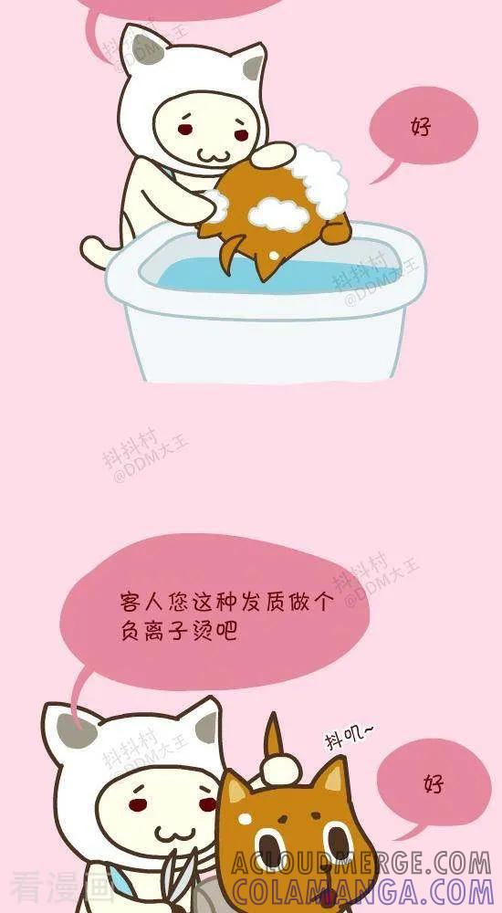 四十八话呆毛-3-抖抖村-ddm大王（第2张）