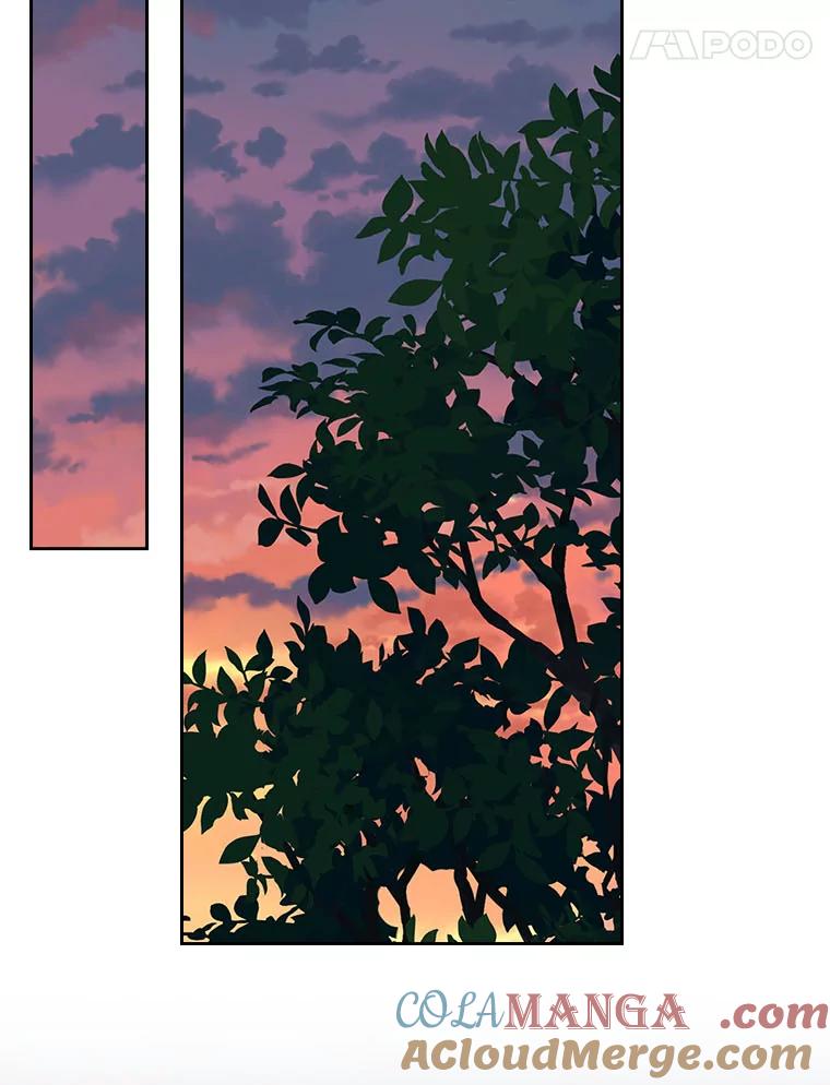 113.jpg