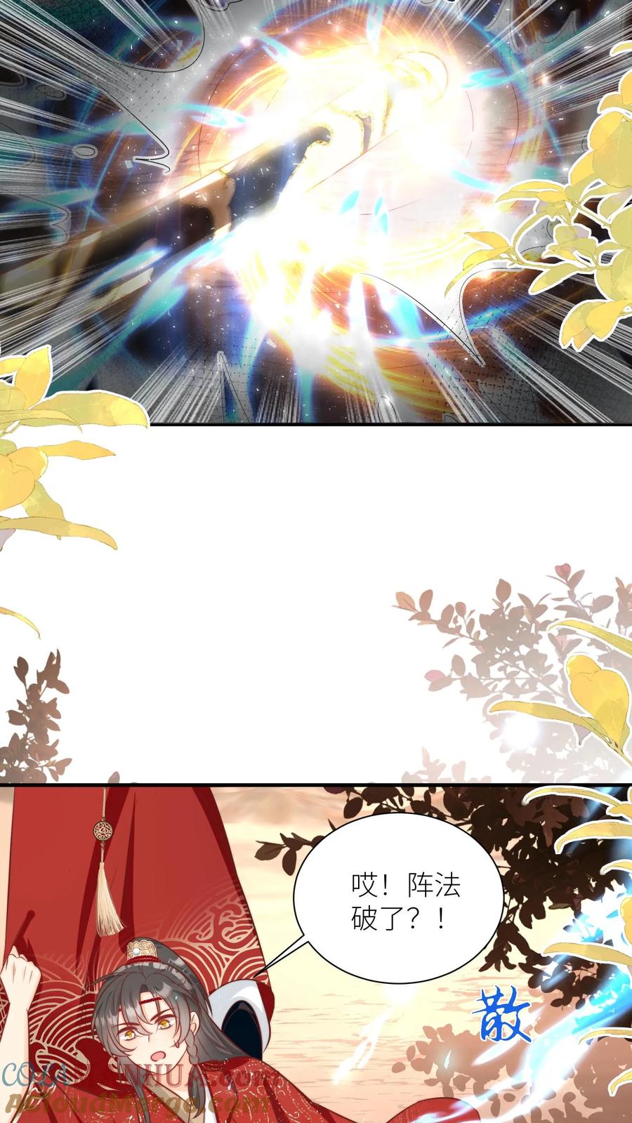 15.jpg