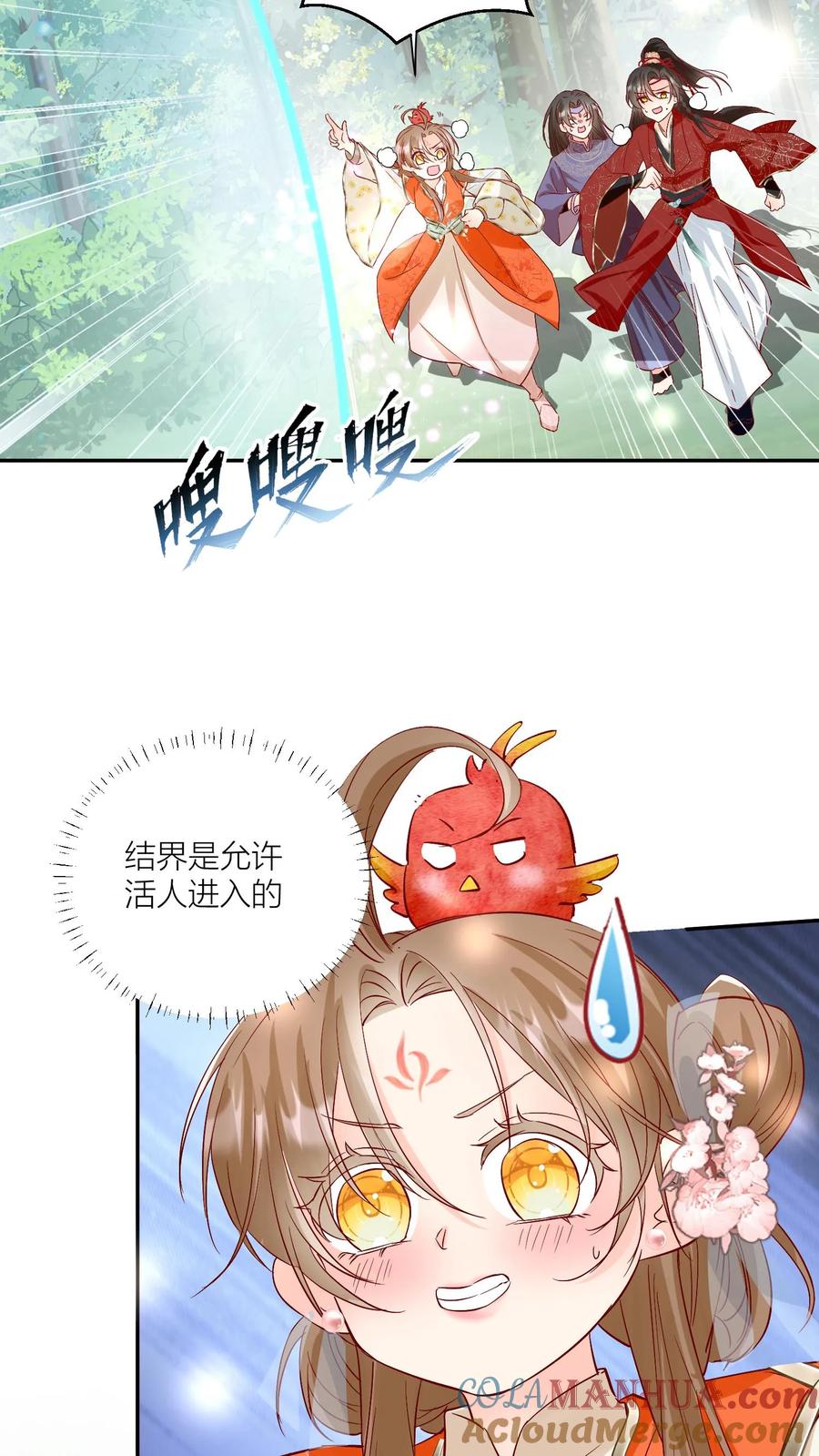 17.jpg