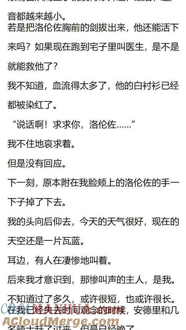 第136话世间再无洛伦佐-小说版重生：被指名为公爵的女仆-로하,주아리（第6张）