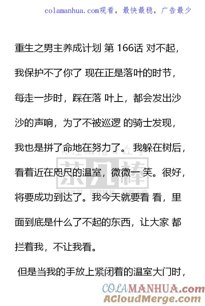 第166话对不起，我保护不了你了-小说版穿越成公爵家的女仆-Aloha（主笔）+ Jooahri（原作）（第1张）