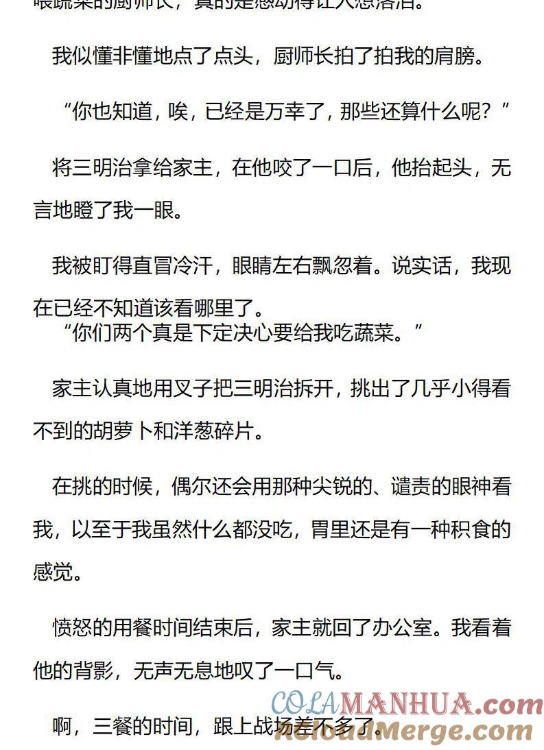 番外二（二）-小说版穿越成公爵家的女仆-Aloha（主笔）+ Jooahri（原作）（第2张）