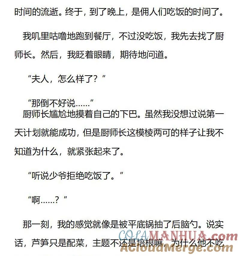 特别篇（六）-小说版穿越成公爵家的女仆-Aloha（主笔）+ Jooahri（原作）（第5张）