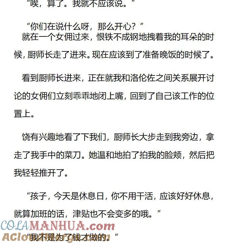 特别篇（六）-小说版穿越成公爵家的女仆-Aloha（主笔）+ Jooahri（原作）（第1张）
