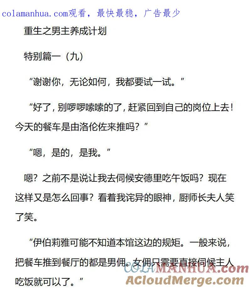 特别篇一（九）-小说版穿越成公爵家的女仆-Aloha（主笔）+ Jooahri（原作）（第1张）