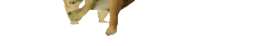 97.jpg