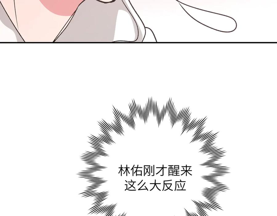 113.jpg