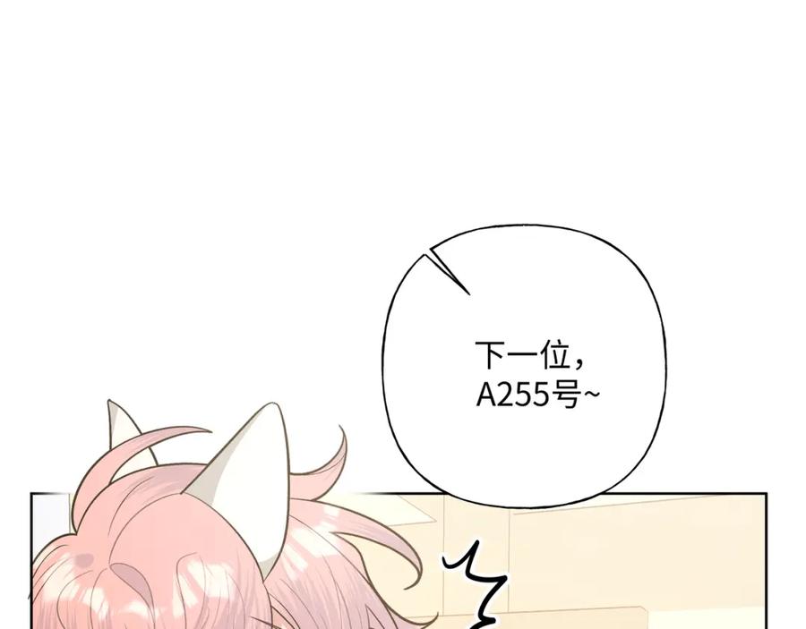 74.jpg