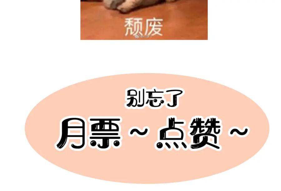 117.jpg