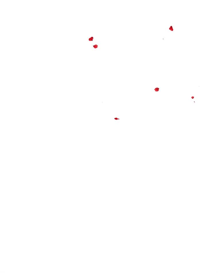 120.jpg