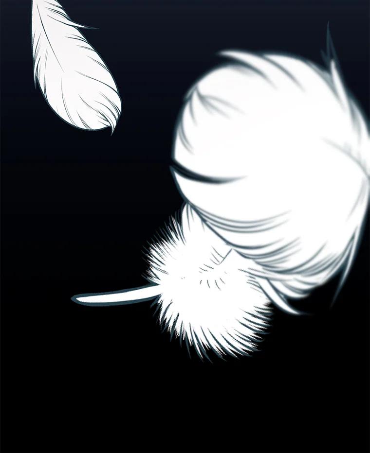 80.jpg