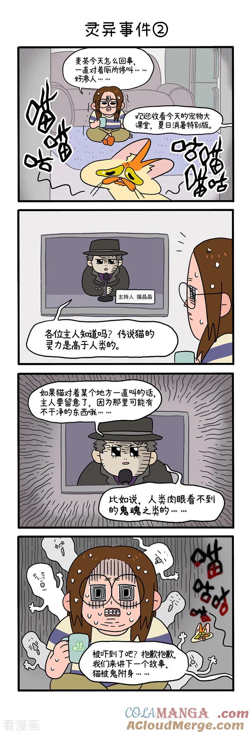 第27话灵异事件-阿满和麦茶-新漫画 日胖大海寺（第3张）