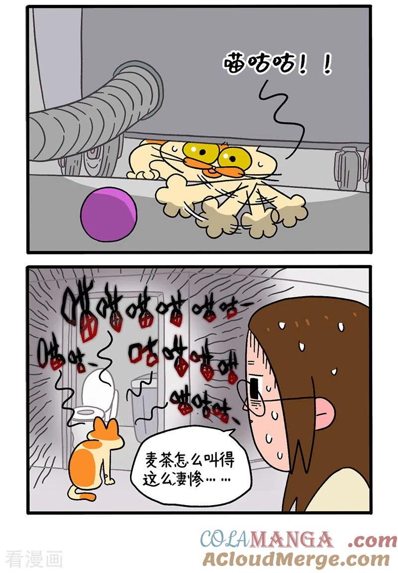 第27话灵异事件-阿满和麦茶-新漫画 日胖大海寺（第2张）