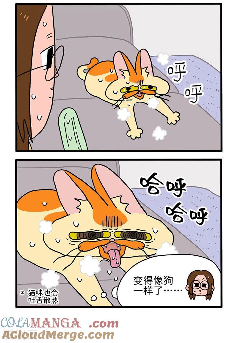 第28话电风扇-阿满和麦茶-新漫画 日胖大海寺（第2张）