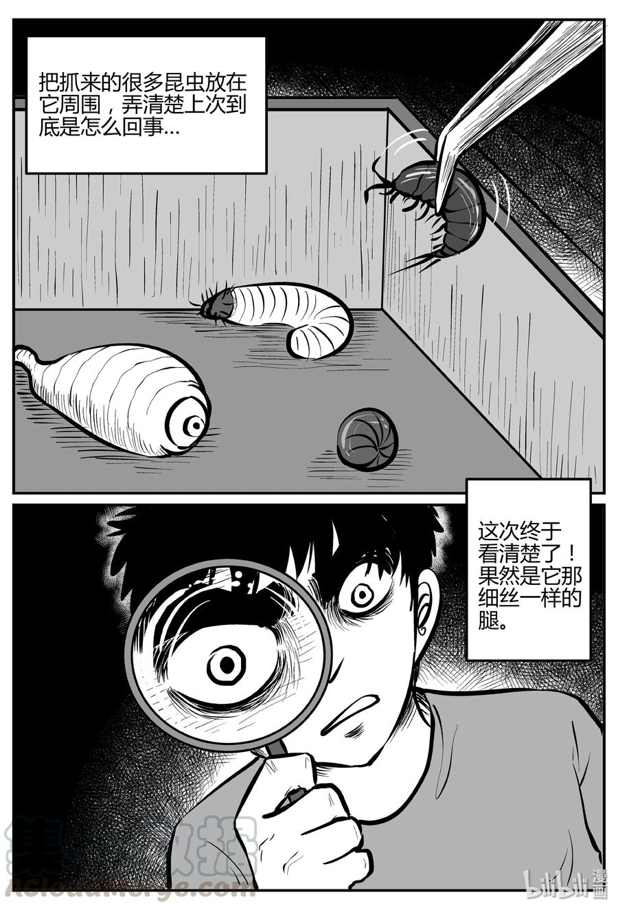 13.jpg