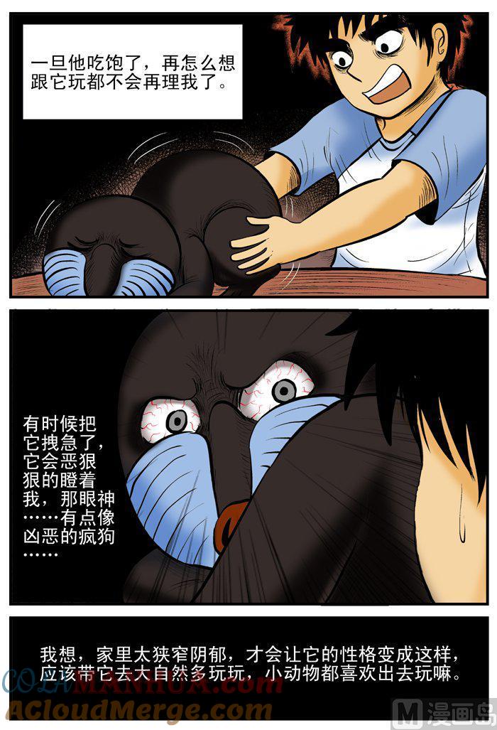 正文2(3)它-小智怪谈彩色版-十日十月（原名小冷）（第3张）