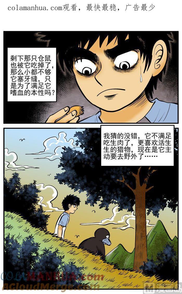 正文2(6)它-小智怪谈彩色版-十日十月（原名小冷）（第1张）