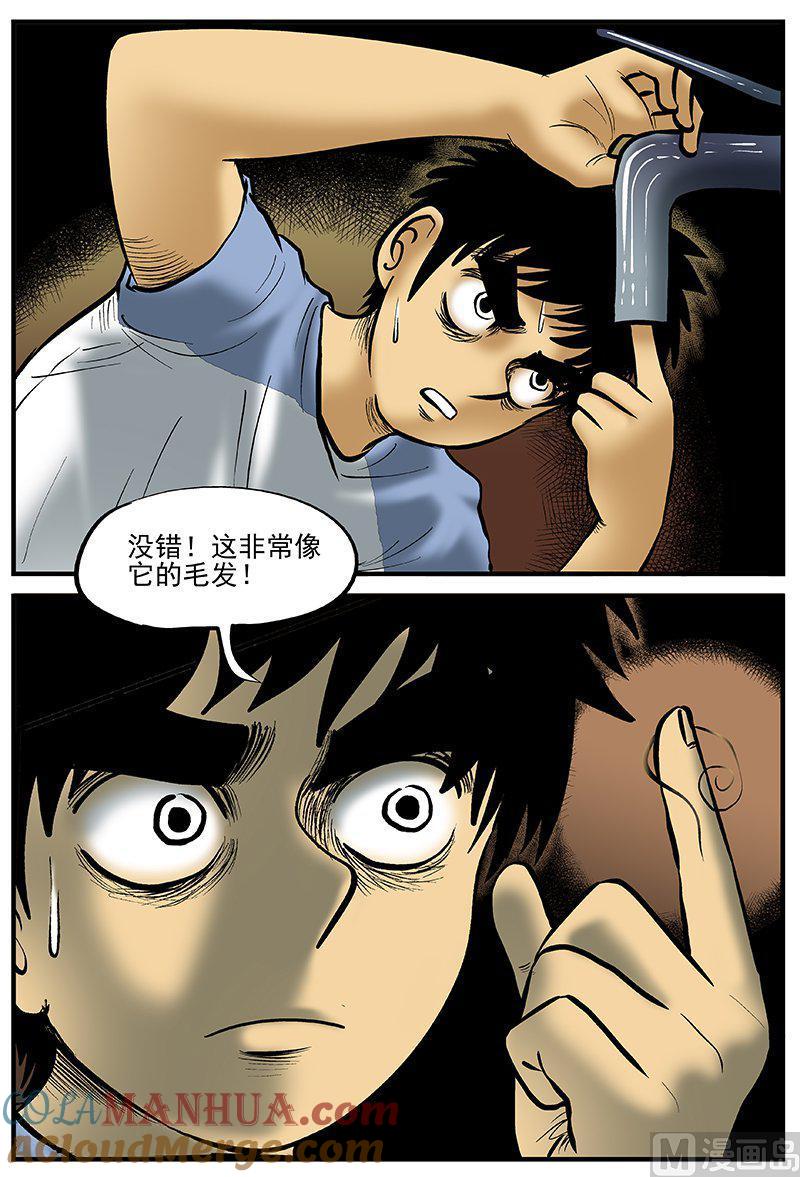 正文20(2)它2-小智怪谈彩色版-十日十月（原名小冷）（第13张）