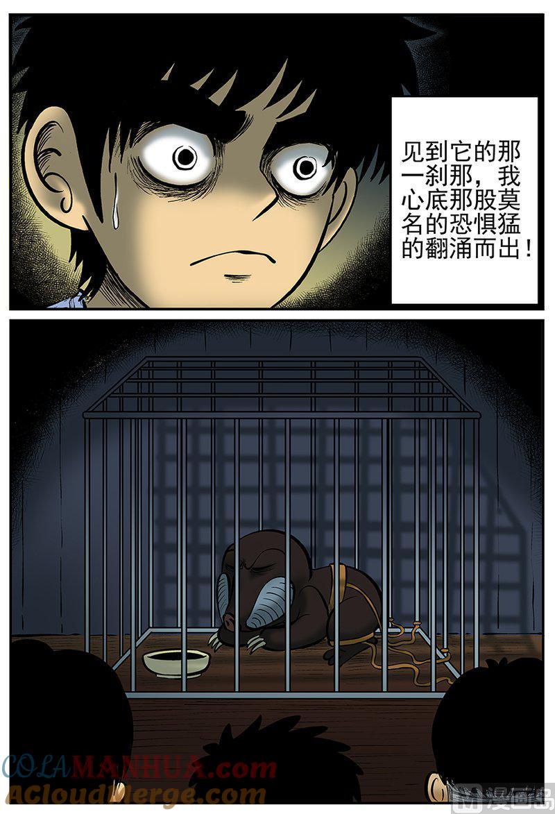 正文21(3)它3-小智怪谈彩色版-十日十月（原名小冷）（第5张）