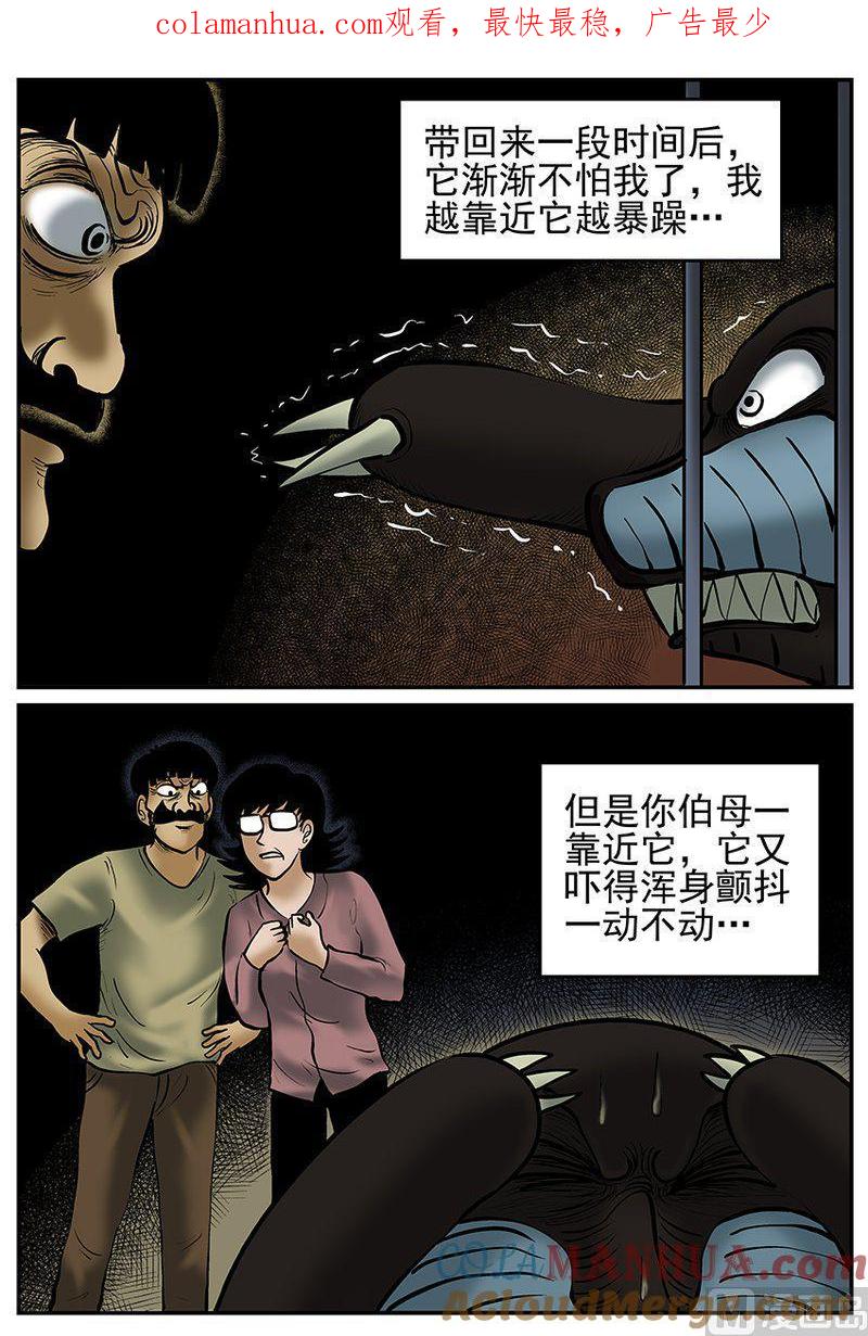 正文21(10)它3-小智怪谈彩色版-十日十月（原名小冷）（第1张）