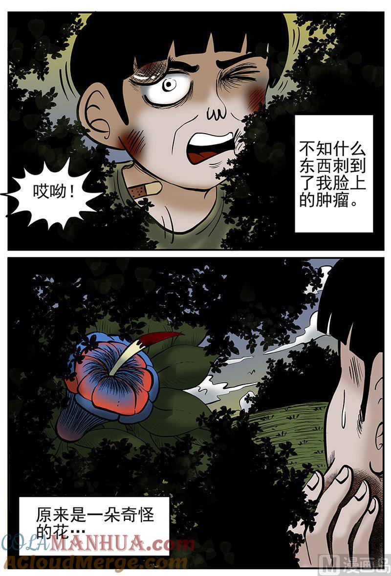 正文22(1)它0-小智怪谈彩色版-十日十月（原名小冷）（第12张）