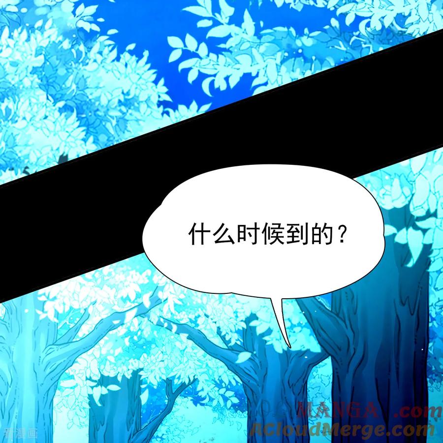 第2季第264话精灵之国5-寻找前世之旅-飒飒动漫（第15张）
