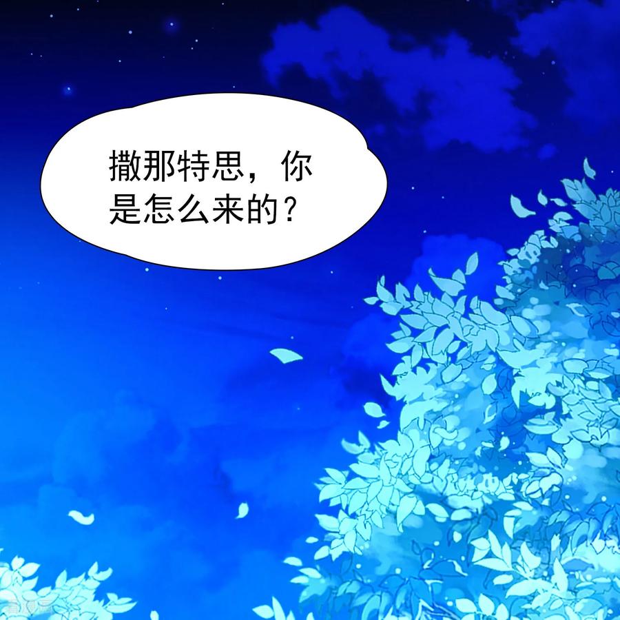 第2季第264话精灵之国5-寻找前世之旅-飒飒动漫（第14张）