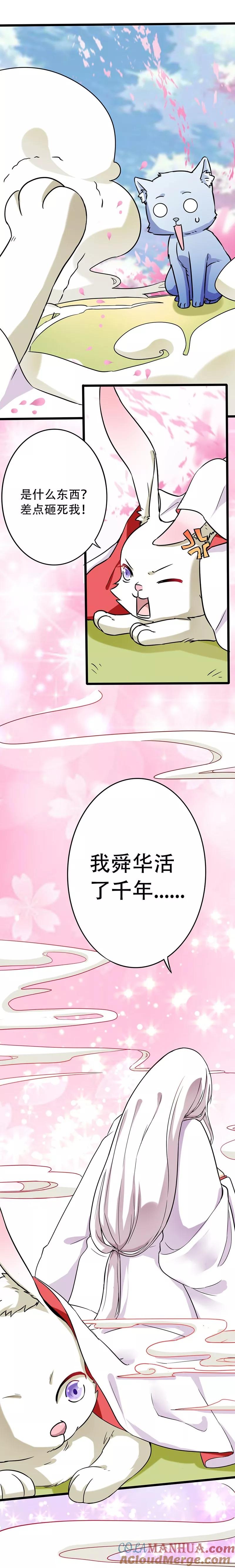 第1话棉兔小棉-邪凤求凰-星际互娱（第13张）
