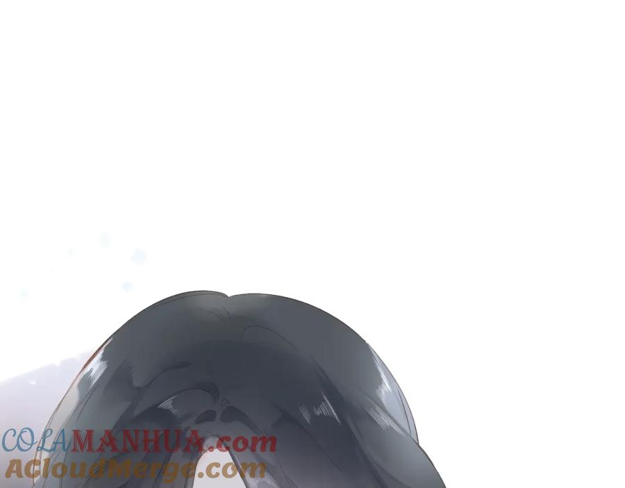 113.jpg