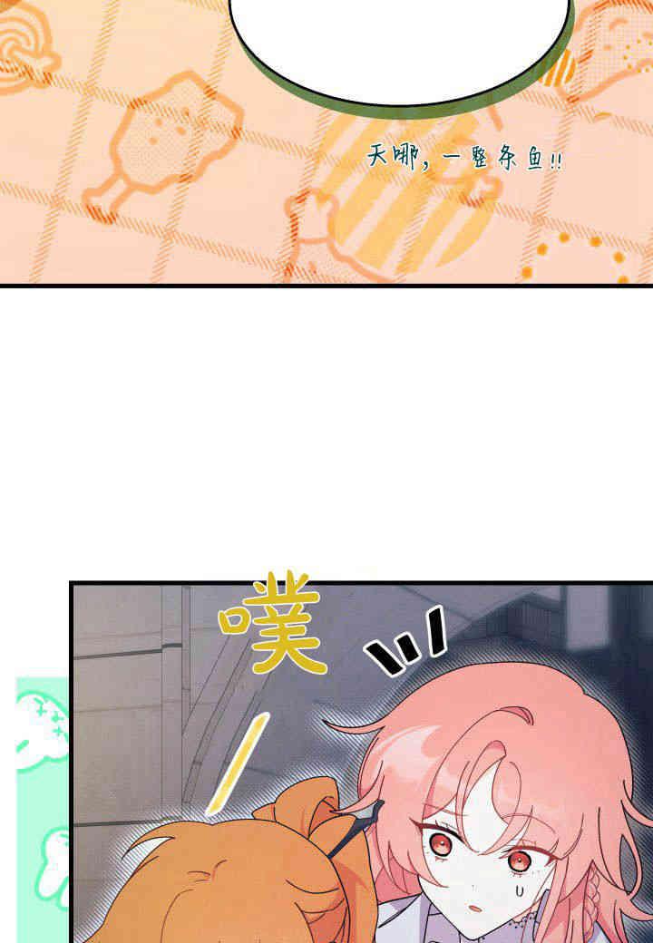 43.jpg