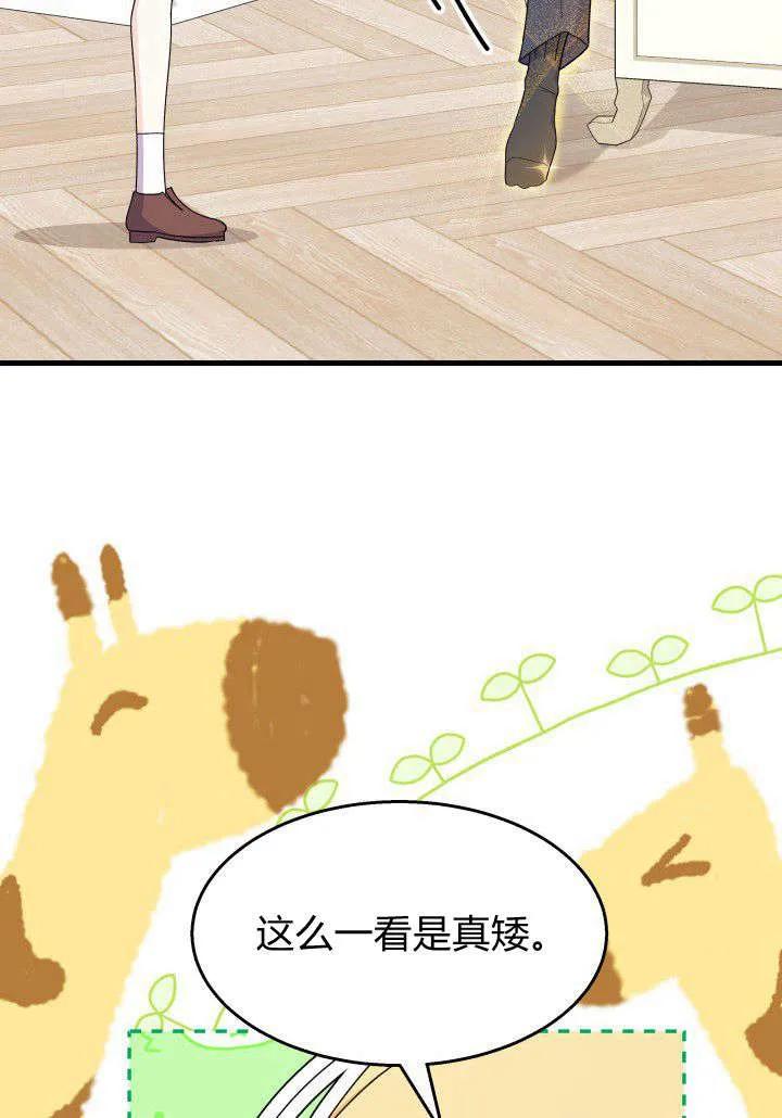 54.jpg