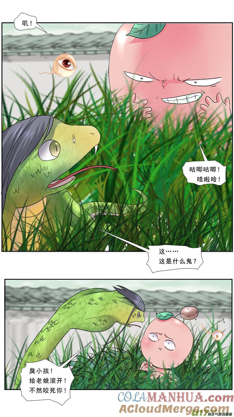 11.jpg