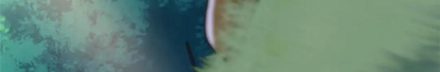 123.jpg