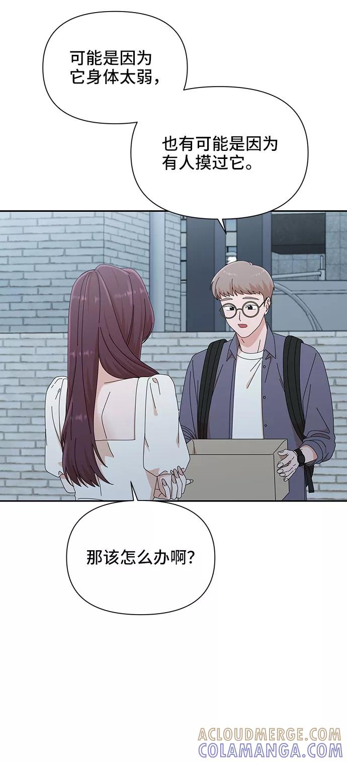 第30话-嘴唇漂亮的男人-Flowbee,Godot（第12张）