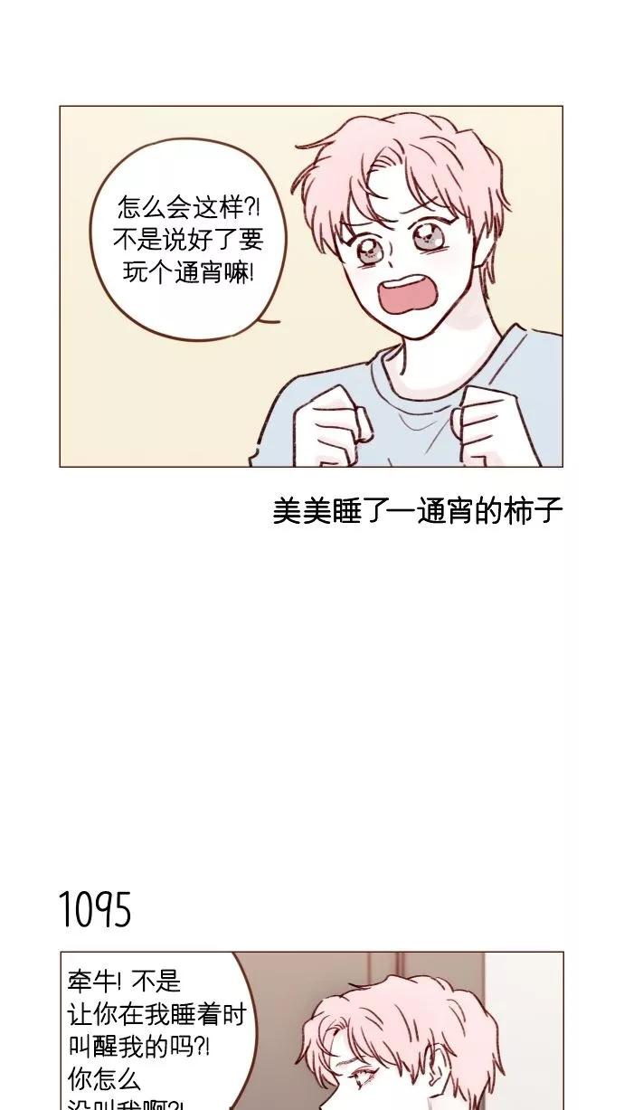 28.jpg
